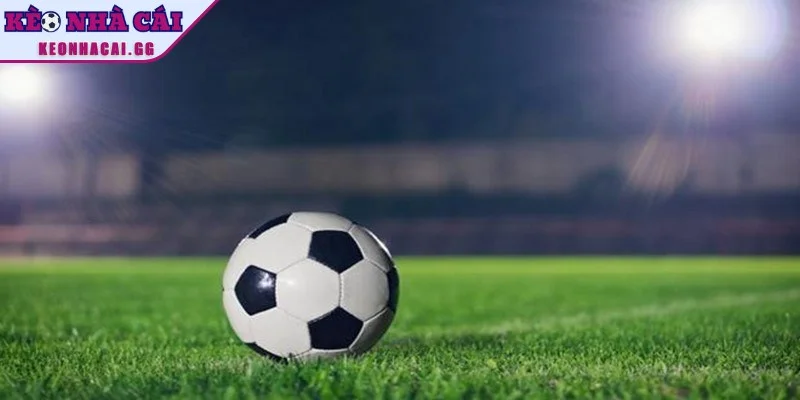 Thông tin tổng quan về bẫy nhà cái thường gặp Thông tin tổng quan về bẫy nhà cái thường gặp