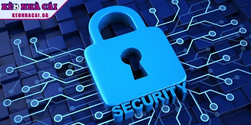 Quy trình thu thập thông tin từ website nghiêm ngặt và chuẩn xác Quy trình thu thập thông tin từ website nghiêm ngặt và chuẩn xác