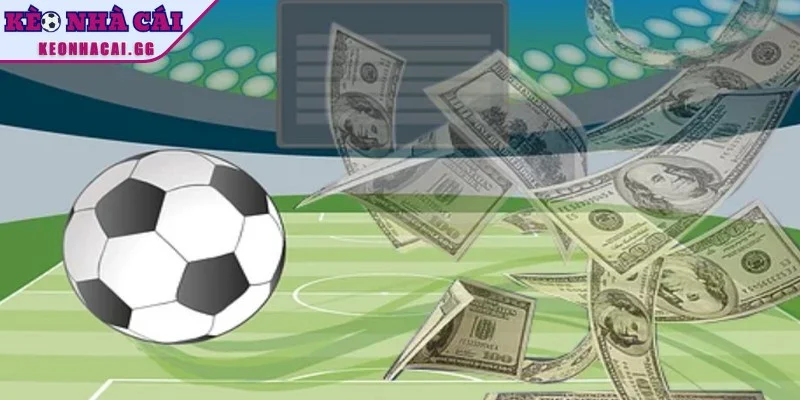 Quản lý vốn hiệu quả giúp bạn giảm rủi ro, duy trì lợi nhuận lâu dài Quản lý vốn hiệu quả giúp bạn giảm rủi ro, duy trì lợi nhuận lâu dài