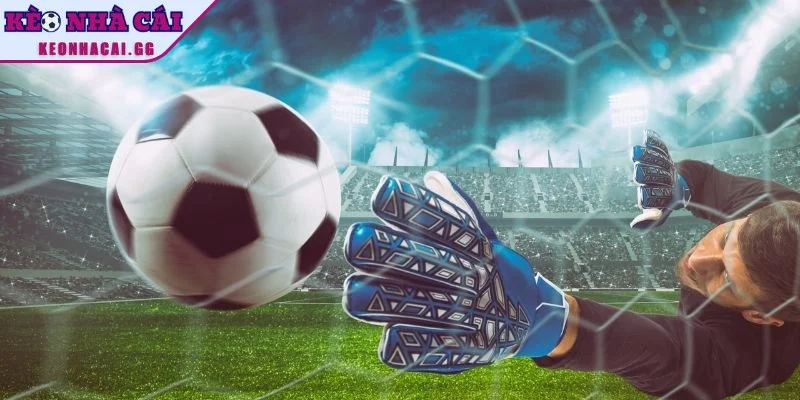 Tỷ lệ châu Âu là lựa chọn yêu thích của nhiều anh em Tỷ lệ châu Âu là lựa chọn yêu thích của nhiều anh em