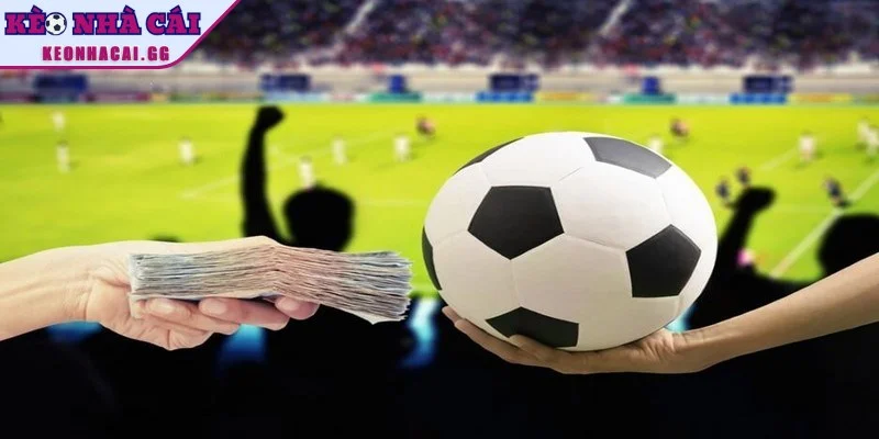 Lưu ý khi áp dụng mẹo chơi kèo rung để có được hiệu quả tốt Lưu ý khi áp dụng mẹo chơi kèo rung để có được hiệu quả tốt