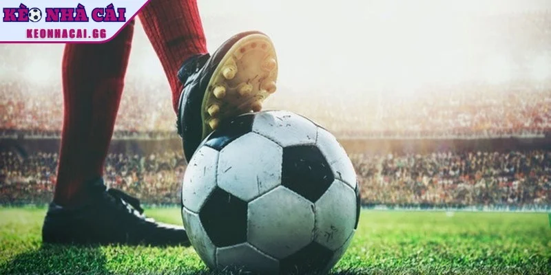 Bẫy kèo là những hình thức điều chỉnh tỷ lệ mang tính chiến thuật Bẫy kèo là những hình thức điều chỉnh tỷ lệ mang tính chiến thuật