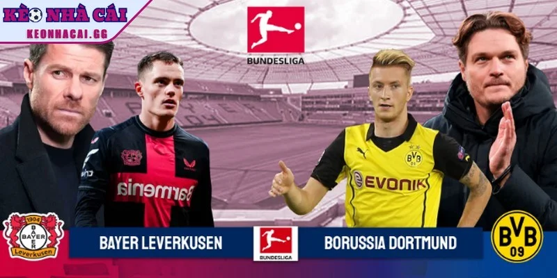 Lịch sử kết quả đối đầu của hai đội Dortmund vs Bayer Leverkusen Lịch sử kết quả đối đầu của hai đội Dortmund vs Bayer Leverkusen