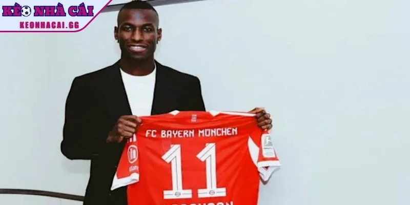 Tổng quan tin chuyển nhượng Bayern Munich mới nhất Tổng quan tin chuyển nhượng Bayern Munich mới nhất