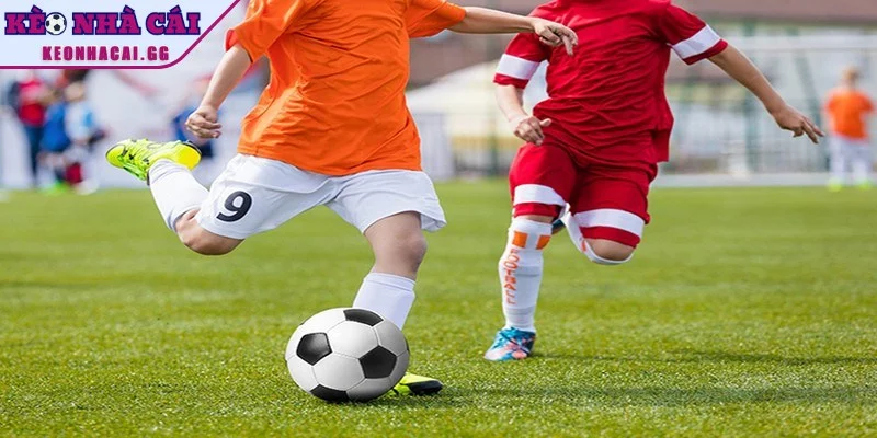 Về chúng tôi tự hào với những lợi thế vượt trội về chất lượng Về chúng tôi tự hào với những lợi thế vượt trội về chất lượng